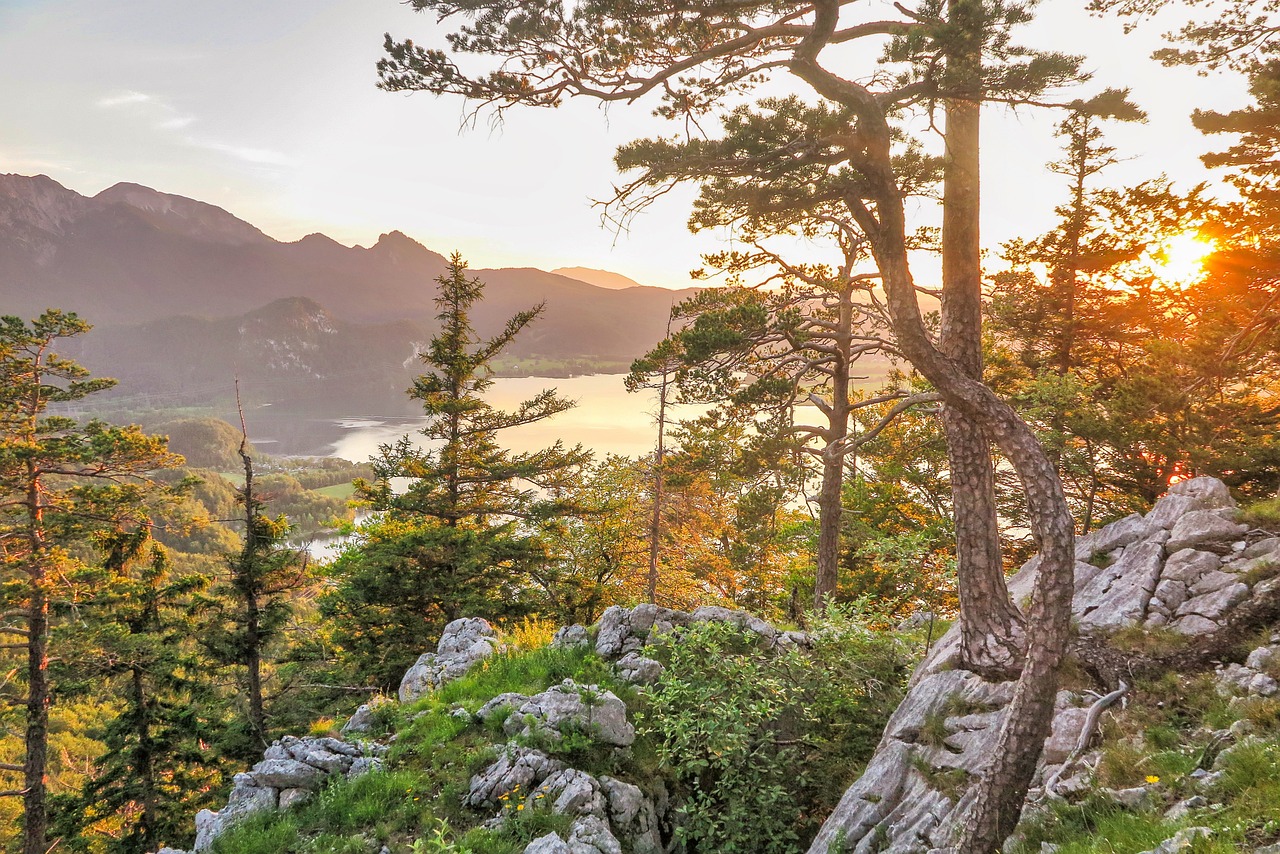 Top Hiking Trails in Banff National Park